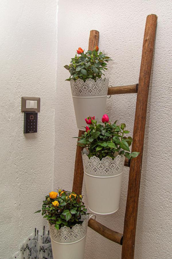Il Palchetto B&B Di Charme E Design 팔레르모 외부 사진